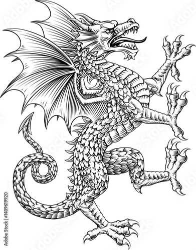 Dragon heraldry coat of arms or family crest medieval shield style heraldic animal. In a vintage woodcut style.