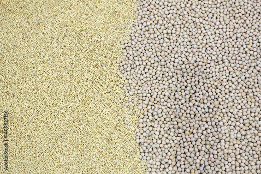 Soy Beans Quinoa Millet Seeds Grains Farm