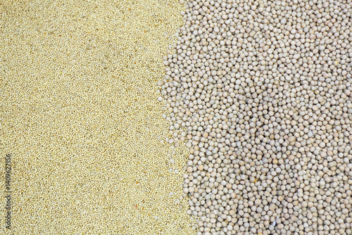 Obraz na płótnie Soy Beans Quinoa Millet Seeds Grains Farm w salonie