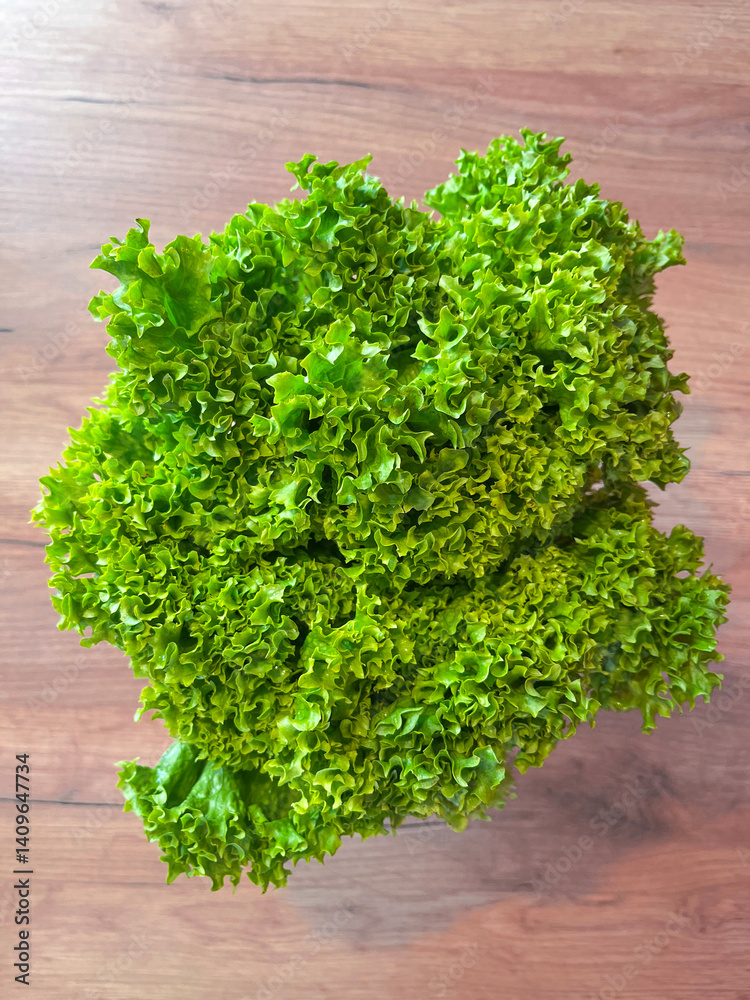 Leaf lettuce or better known as selada keriting is a type of lettuce whose leaf tips are wavy and light green in color. On wooden background Leaf lettuce or better known as selada keriting is a type of lettuce whose leaf tips are wavy and light green in color. On wooden background