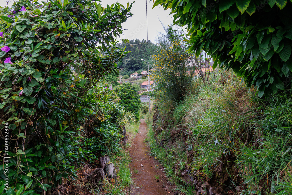 Path in Camacha mountainous town in municipality of Santa Cruz, Madeira Island, Portugal