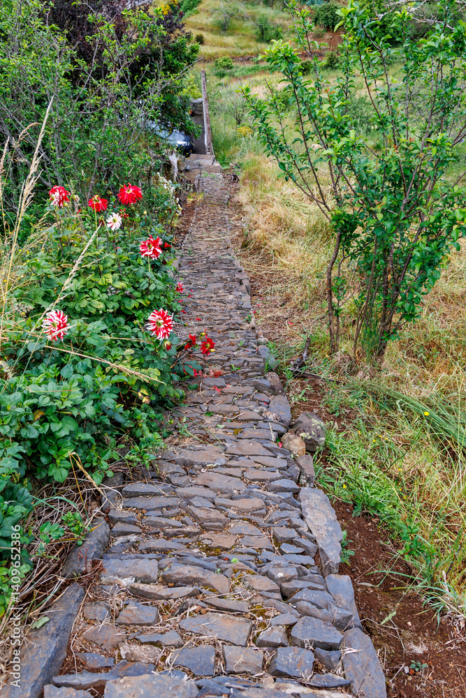 Path in Camacha mountainous town in municipality of Santa Cruz, Madeira Island, Portugal