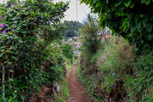 Obraz na płótnie Path in Camacha mountainous town in municipality of Santa Cruz, Madeira Island, Portugal w salonie
