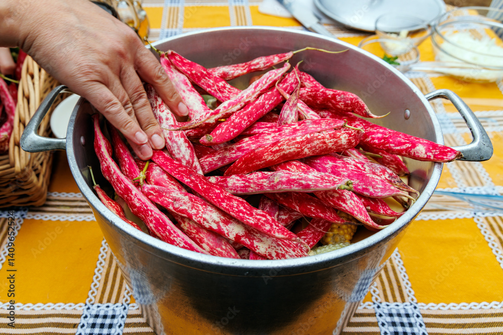 Cranberry bean prepared for cooking in Camacha mountainous town in municipality of Santa Cruz, Madeira Island, Portugal