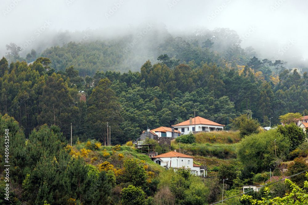 Houses in Camacha mountainous town in municipality of Santa Cruz, Madeira Island, Portugal