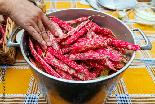 Cranberry bean prepared for cooking in Camacha mountainous town in municipality of Santa Cruz, Madeira Island, Portugal