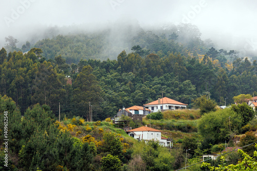 Obraz na płótnie Houses in Camacha mountainous town in municipality of Santa Cruz, Madeira Island, Portugal w salonie
