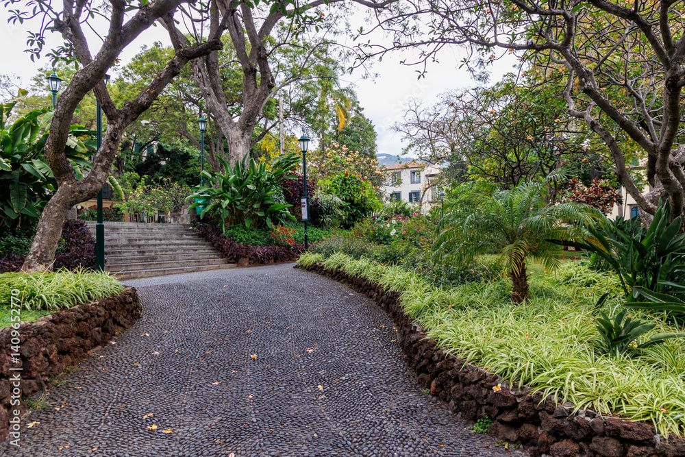 Alley in Municipal Garden in Funchal city, capital of Madeira Island, Portugal