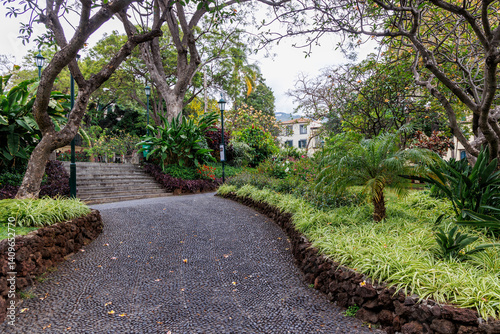 Obraz na płótnie Alley in Municipal Garden in Funchal city, capital of Madeira Island, Portugal w salonie
