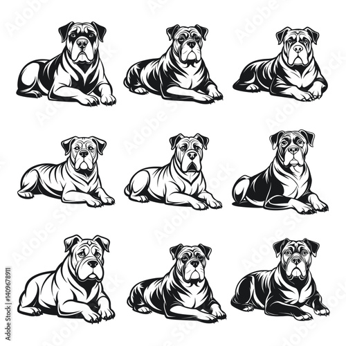 Bullmastiff dog photo