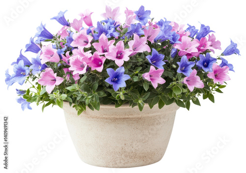 Wallpaper Mural PNG Campanula flower bushes geranium blossom pottery. Torontodigital.ca