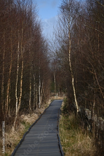 the walkway over the bog at cors caron in the sun 