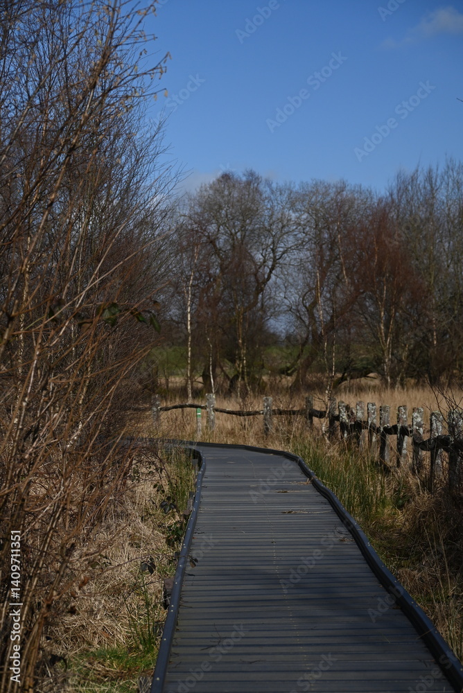 the walkway over the bog at cors caron in the sun the walkway over the bog at cors caron in the sun
