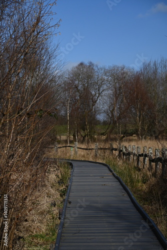 the walkway over the bog at cors caron in the sun 