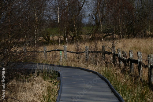 the walkway over the bog at cors caron in the sun 