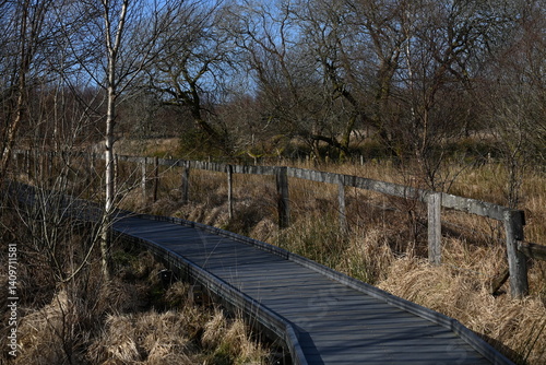 the walkway over the bog at cors caron in the sun 