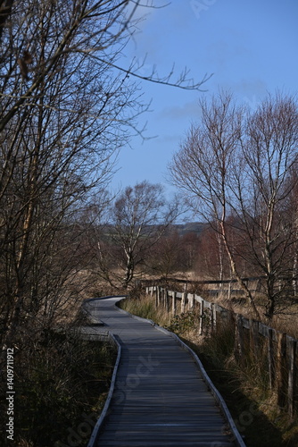 the walkway over the bog at cors caron in the sun 