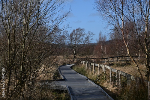 the walkway over the bog at cors caron in the sun 