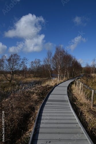 the walkway over the bog at cors caron in the sun 