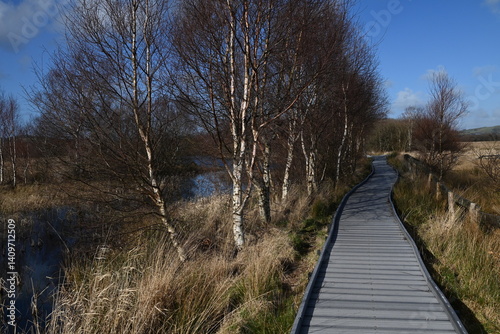 the walkway over the bog at cors caron in the sun 