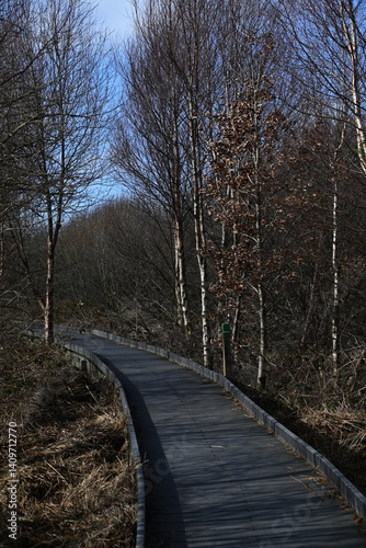 the walkway over the bog at cors caron in the sun 