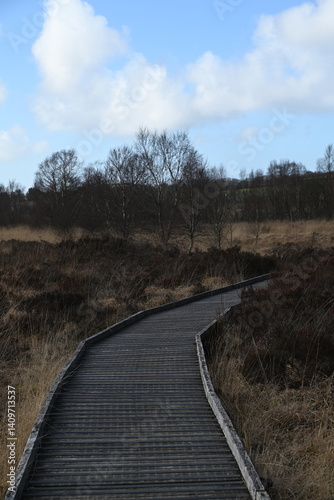 the walkway over the bog at cors caron in the sun 