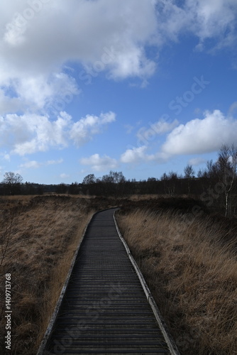the walkway over the bog at cors caron in the sun 