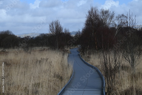 the walkway over the bog at cors caron in the sun 