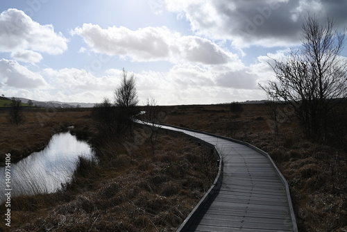 the walkway over the bog at cors caron in the sun 