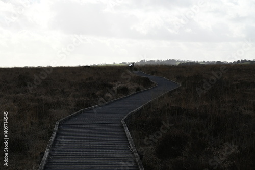 the walkway over the bog at cors caron in the sun 