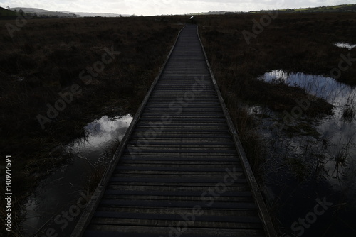 the walkway over the bog at cors caron in the sun 