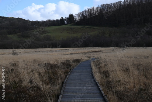 the walkway over the bog at cors caron in the sun 