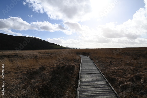 the walkway over the bog at cors caron in the sun 