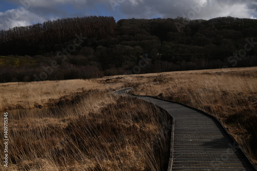 the walkway over the bog at cors caron in the sun 