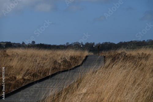 the walkway over the bog at cors caron in the sun 