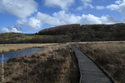 the walkway over the bog at cors caron in the sun 