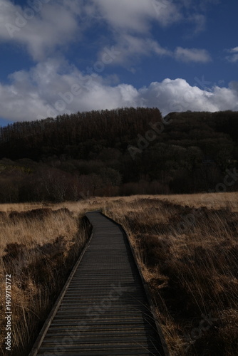 the walk over the bog at cors caron