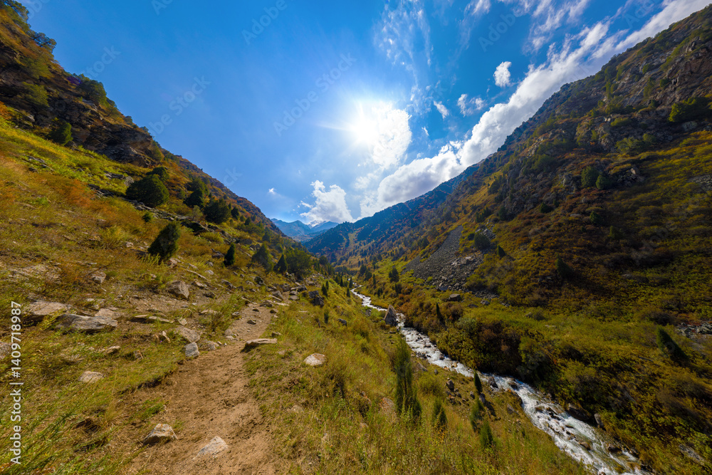 Fototapeta premium View Down Steep Mountain Gorge with Rushing River