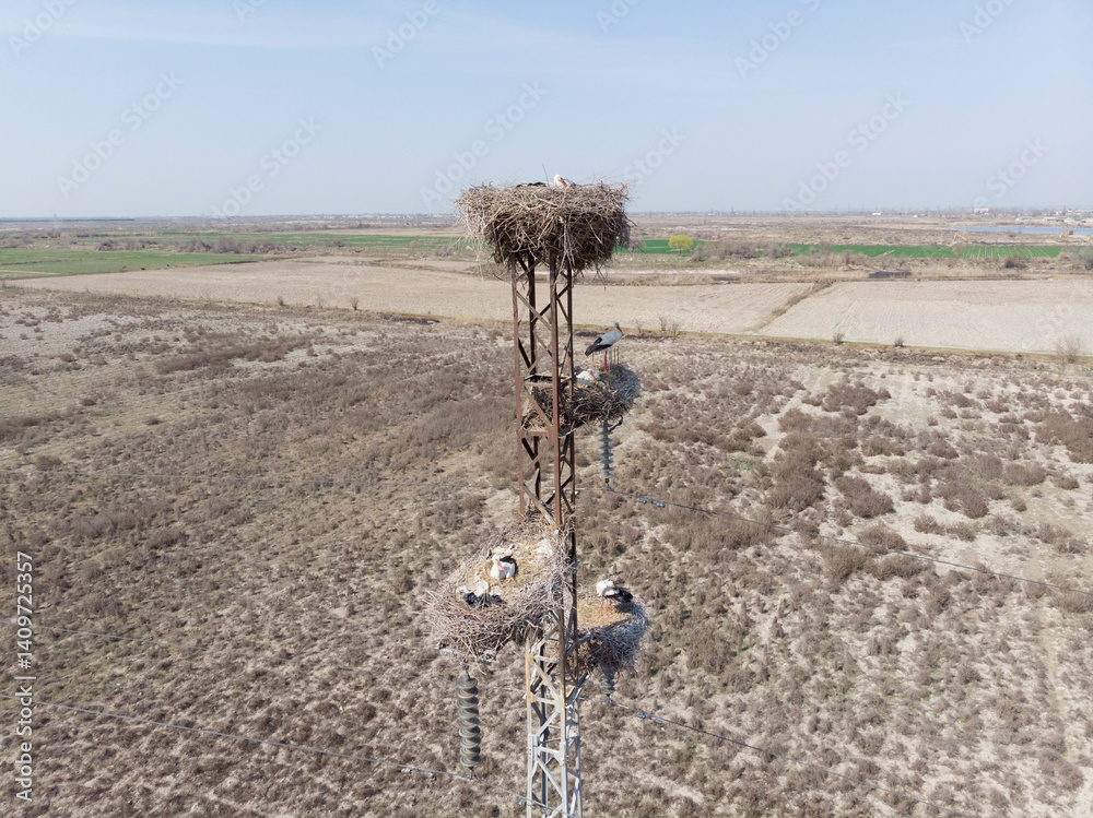 White stork nests on a pole, filmed from a quadcopter, close up. Uzbekistan