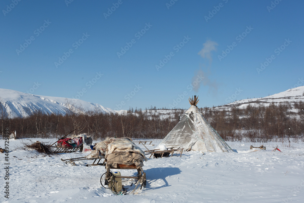 Nenets reindeer herders choom on a winter, Yamal, Russia