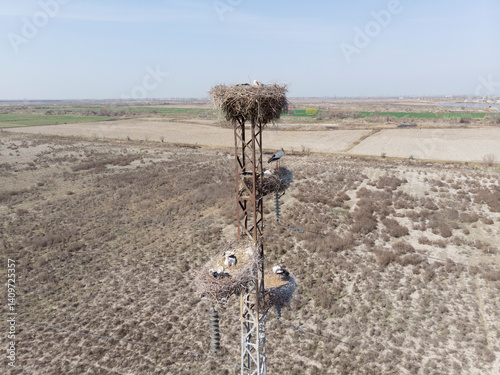 Obraz na płótnie White stork nests on a pole, filmed from a quadcopter, close up. Uzbekistan w salonie