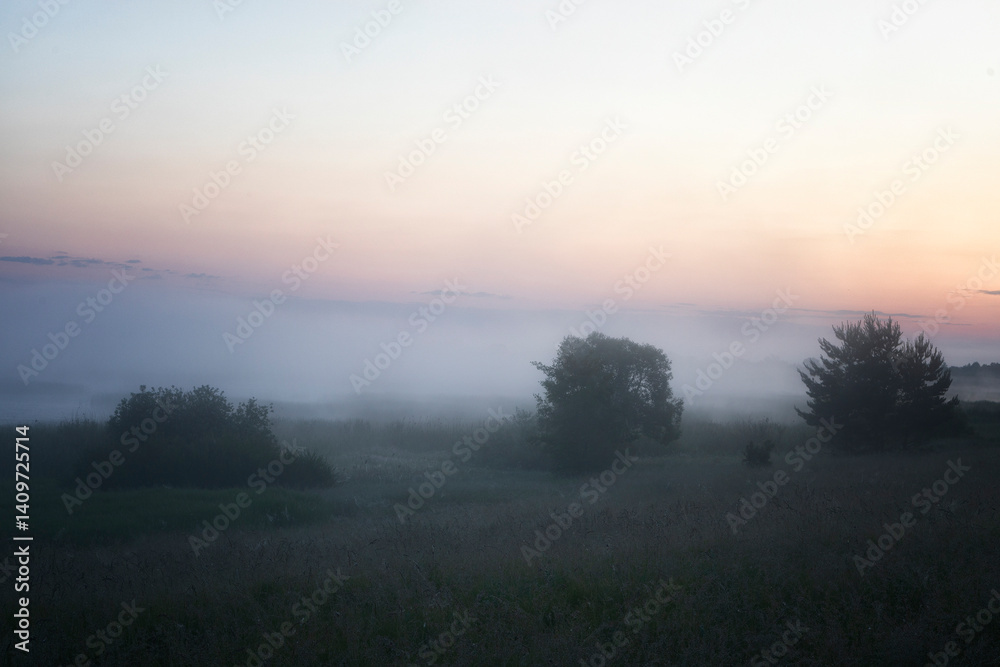 Beautiful summer landscape with the fog lit with a sunrise