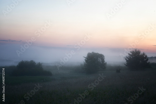 Obraz na płótnie Beautiful summer landscape with the fog lit with a sunrise w salonie