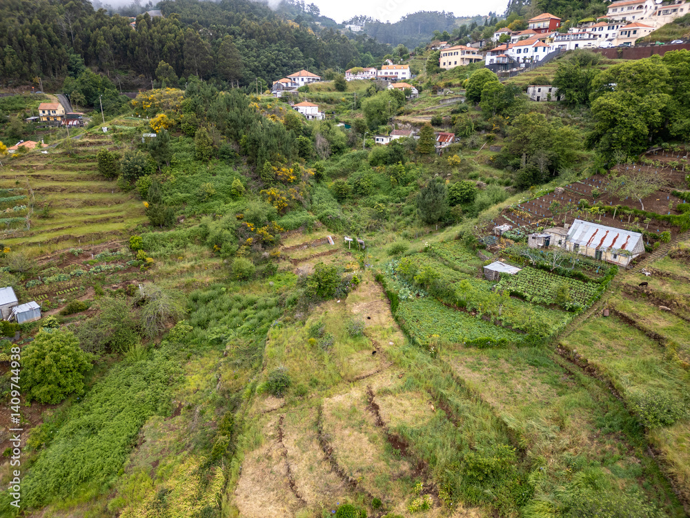 Small terrace gardens in Camacha mountainous town in municipality of Santa Cruz, Madeira Island, Portugal