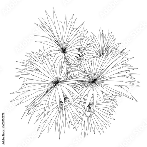 A drawing of a palm tree with a few leaves. The drawing is in black and white. The palm tree is tall and has a lot of leaves. The leaves are spread out and are of different sizes