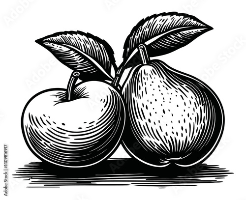 Detailed Engraving of an Apple and Pear with Leaves in Black and White