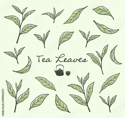 抹茶、緑茶など、日本茶の茶葉のイラスト