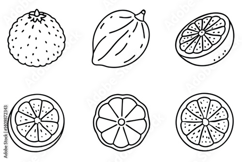 kaffir line art nature themed herbal outline image