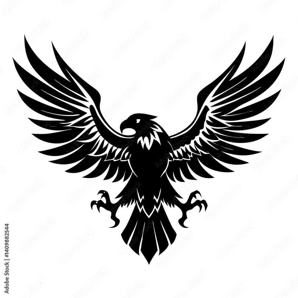 Obraz premium eagle with wings