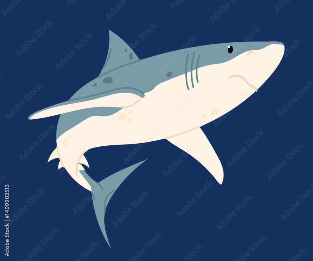 Fototapeta premium Shark. Marine animal. Predatory fish. Flat illustration of the dangerous shark.